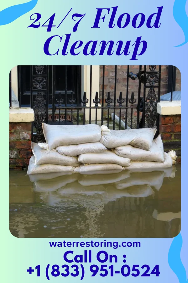 24/7 Flood Cleanup in Leesburg, GA