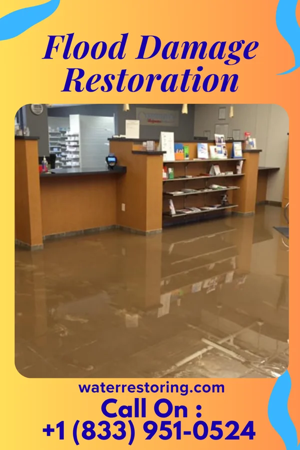 Flood Damage Restoration in Leesburg, GA