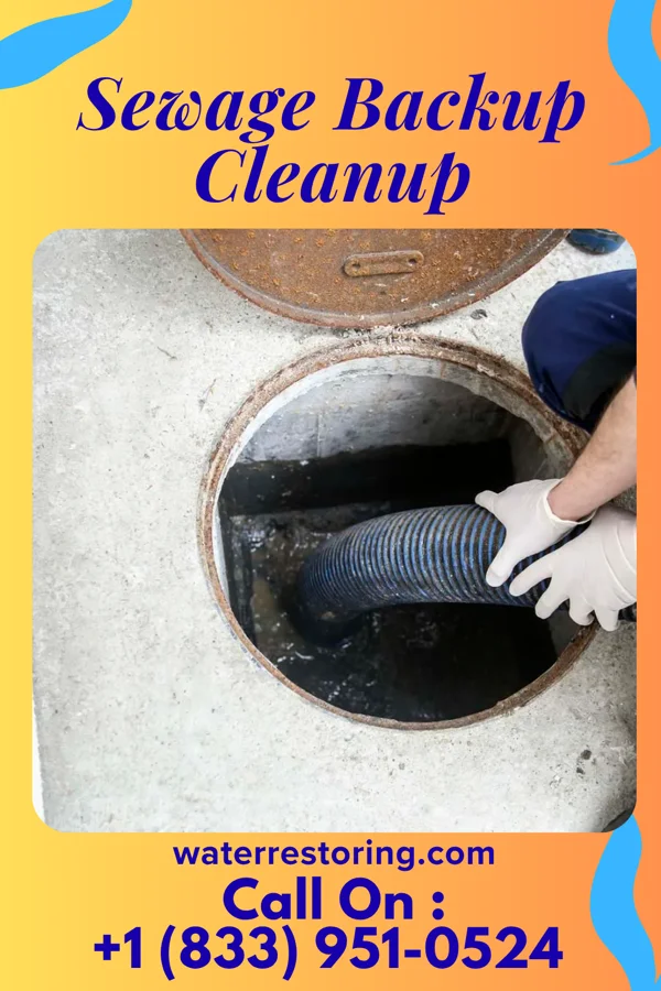 Sewage Backup Cleanup in Leesburg, GA